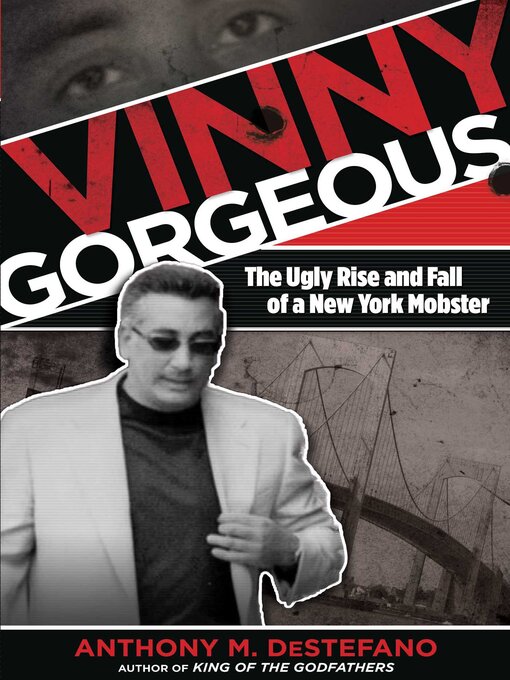 Cover image for Vinny Gorgeous
